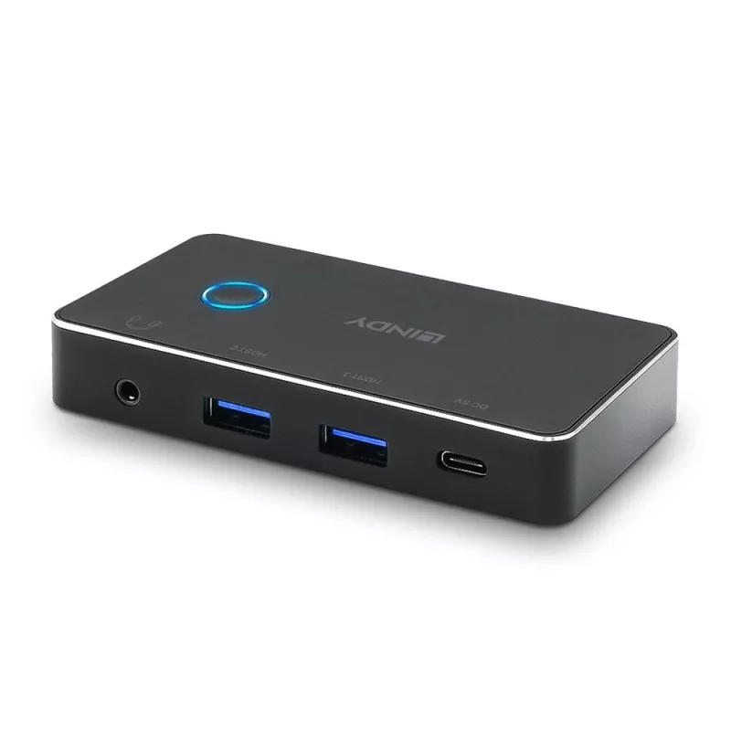 Lindy 43387 USB 3.0 jungiklis 2:4