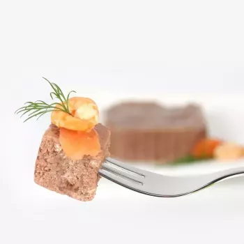 Šlapias kačių maistas animonda Vom Feinsten Mature Salmon 100 g – suaugusioms katėms, padėkle, be glitimo ir sojos