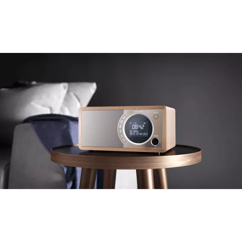 Sharp DR-450 asmeninis skaitmeninis radijo imtuvas, rudos spalvos, nerūdijančio plieno detalės