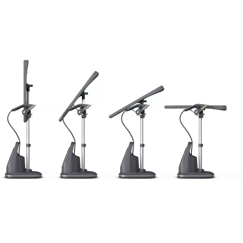Philips AIS8540 vertikalus garinis džiovintuvas 1,2 L 2200 W juodas