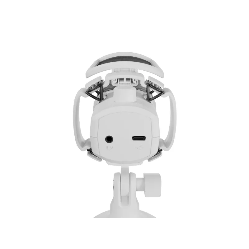 GENESIS Radium 250 White žaidimų konsolės mikrofonas
