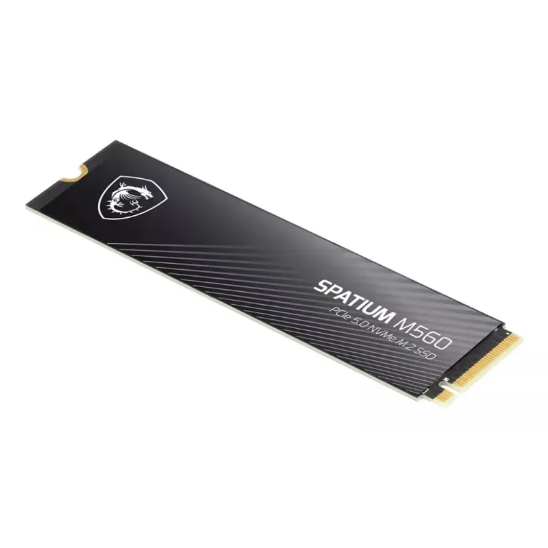 MSI Spatium M560 2 TB PCIe 5.0 NVMe M.2 SSD