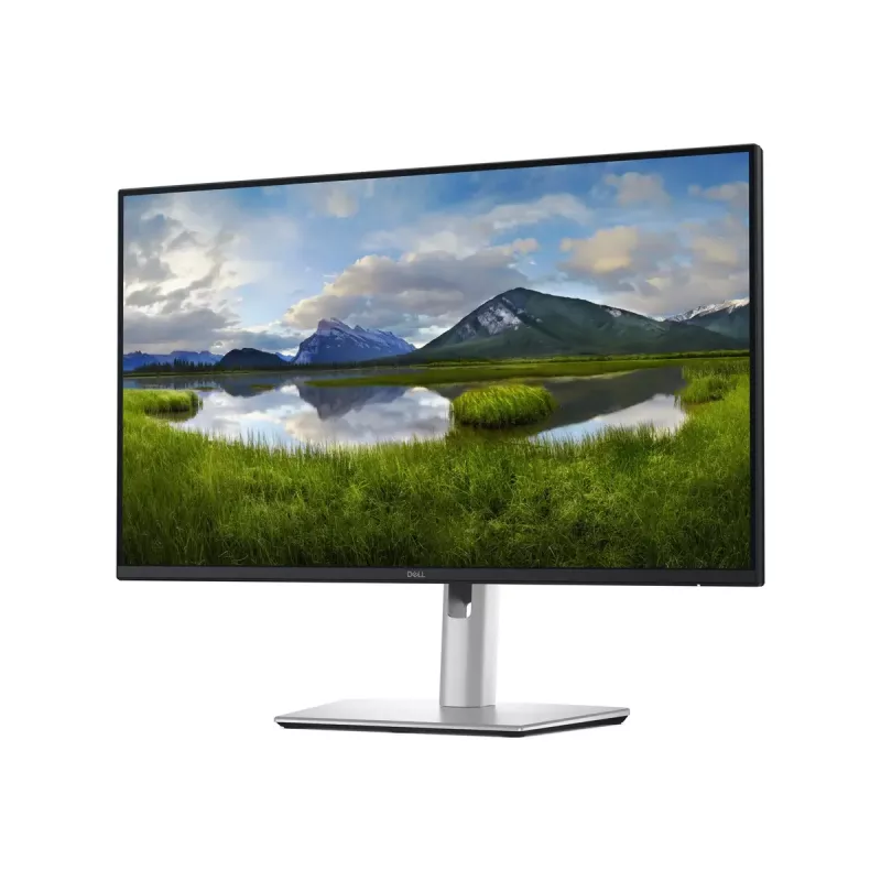 Dell P2425DE 24 colių IPS QHD monitorius, 100 Hz, 5 ms, 2560x1440, 350 cd/m², HDMI, 5 metų garantija