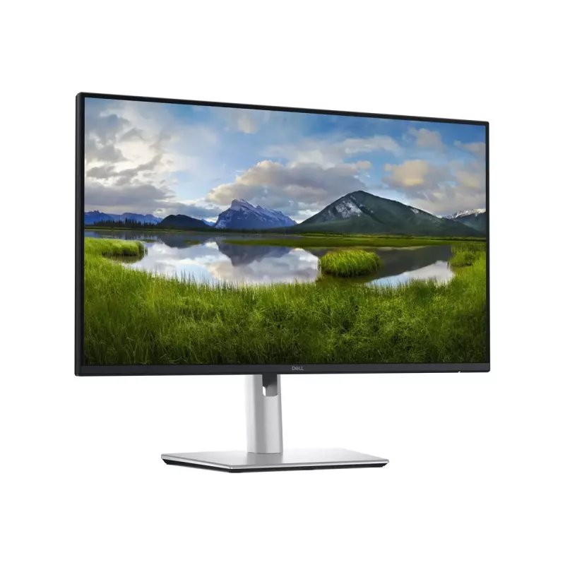 Dell P2425DE 24 colių IPS QHD monitorius, 100 Hz, 5 ms, 2560x1440, 350 cd/m², HDMI, 5 metų garantija