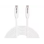 Sandberg USB-C į USB-C laidas USB 3.2 Gen2 100W, 5m, baltas