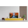 TCL 32V4C QLED televizorius 32 colių (81,3 cm) HD 1366×768 Wi‑Fi Ethernet Juodas