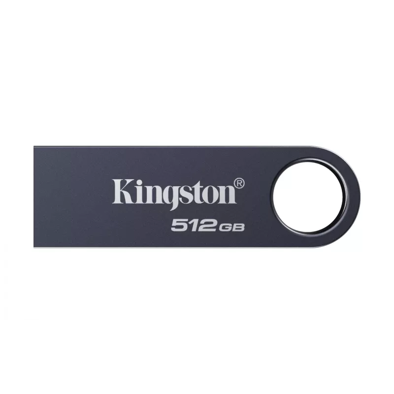 USB atmintukas KINGSTON DataTraveler SE9 G3 512GB