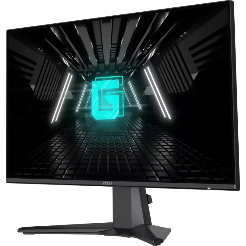 Monitorius MSI G242L E14 23,8 colio (60,5 cm) Full HD 1920x1080 IPS 1 ms VESA juodas