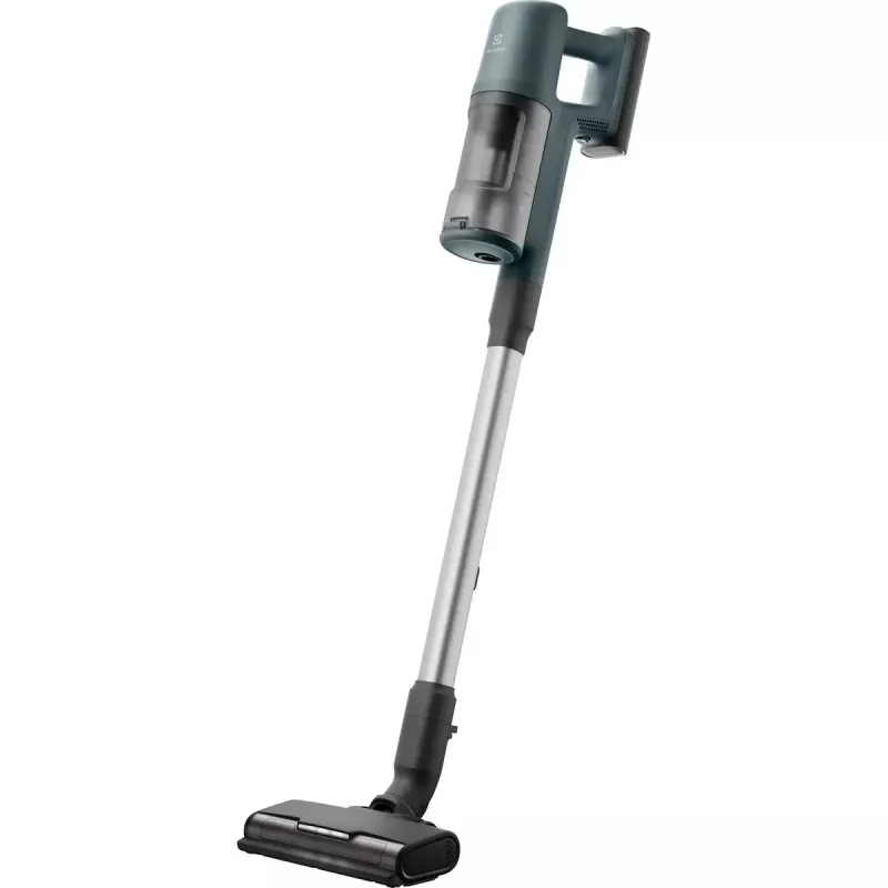 Electrolux EP61CB21OG 2 viename belaidis dulkių siurblys