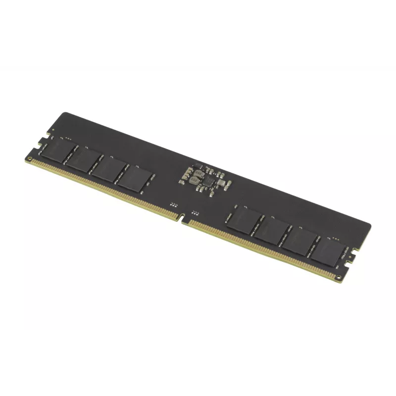 Goodram GR5600D564L46S/8G atminties modulis 8 GB 1 x 8 GB DDR5 288 kontaktų DIMM
