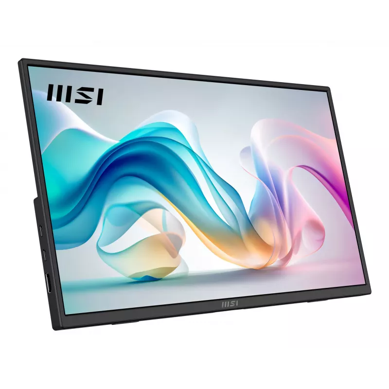 Nešiojamas monitorius MSI PRO MP165 E6 15,6 colio LED Full HD juodas
