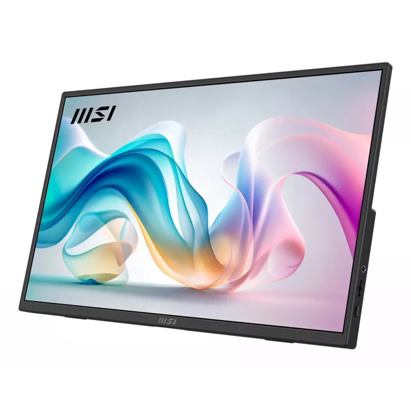 Nešiojamas monitorius MSI PRO MP165 E6 15,6 colio LED Full HD juodas
