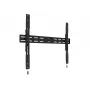 Multibrackets M Universal Wallmount Fixed X Large – stacionarus laikiklis televizoriui