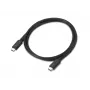 Lenovo Thunderbolt 4 USB-C į USB-C laidas, 1 m