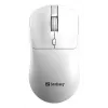 Sandberg Wireless Mouse Saver White, belaidė RF pelė, 1600 DPI, balta