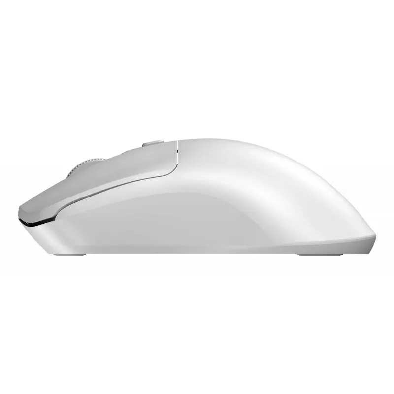 Sandberg Wireless Mouse Saver White, belaidė RF pelė, 1600 DPI, balta