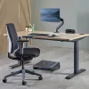 Fellowes 100137182 ilginimo laidas 2 m 2 kištukiniai lizdai Juodas