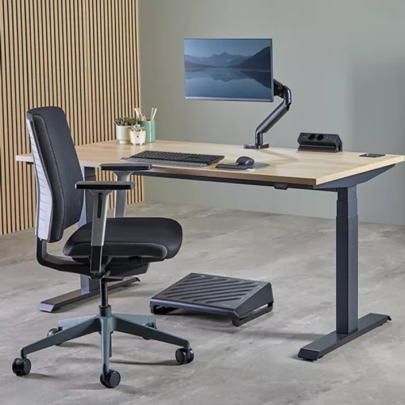 Fellowes 100137182 ilginimo laidas 2 m 2 kištukiniai lizdai Juodas