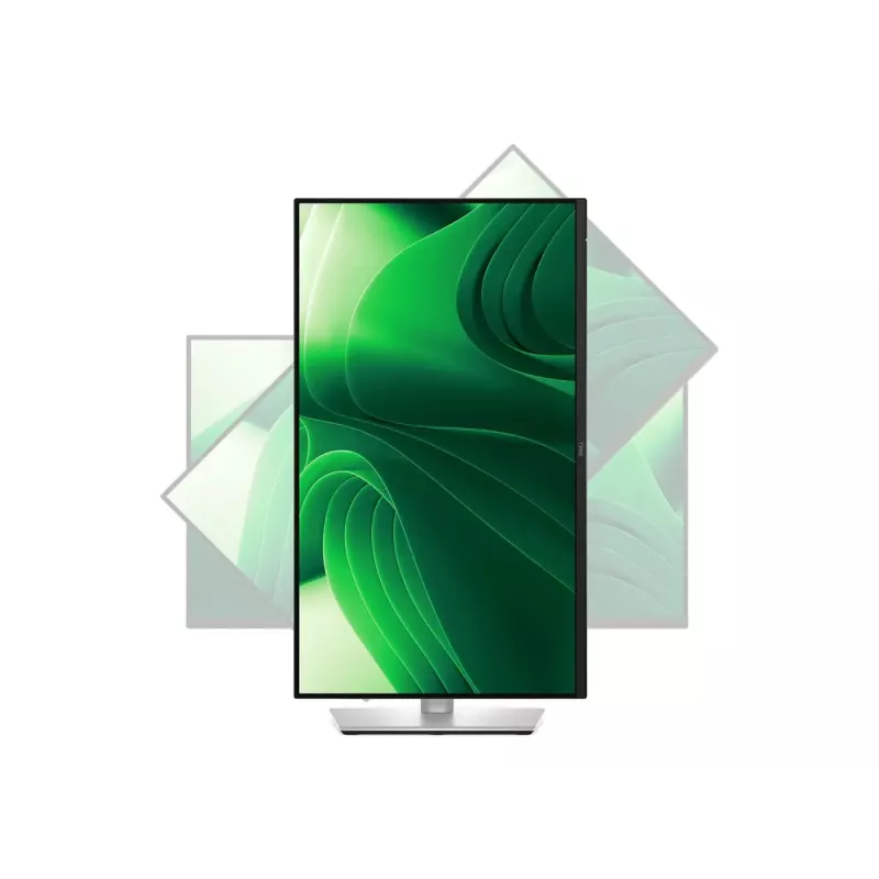 Dell P2425D 24 colių IPS monitorius, 2560x1440, 100 Hz, 5 ms, 350 cd/m²