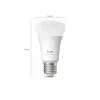Philips Hue White and colour ambience A60 – E27 išmanioji lemputė – 810