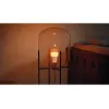 Philips Hue White and colour ambience A60 – E27 išmanioji lemputė – 810