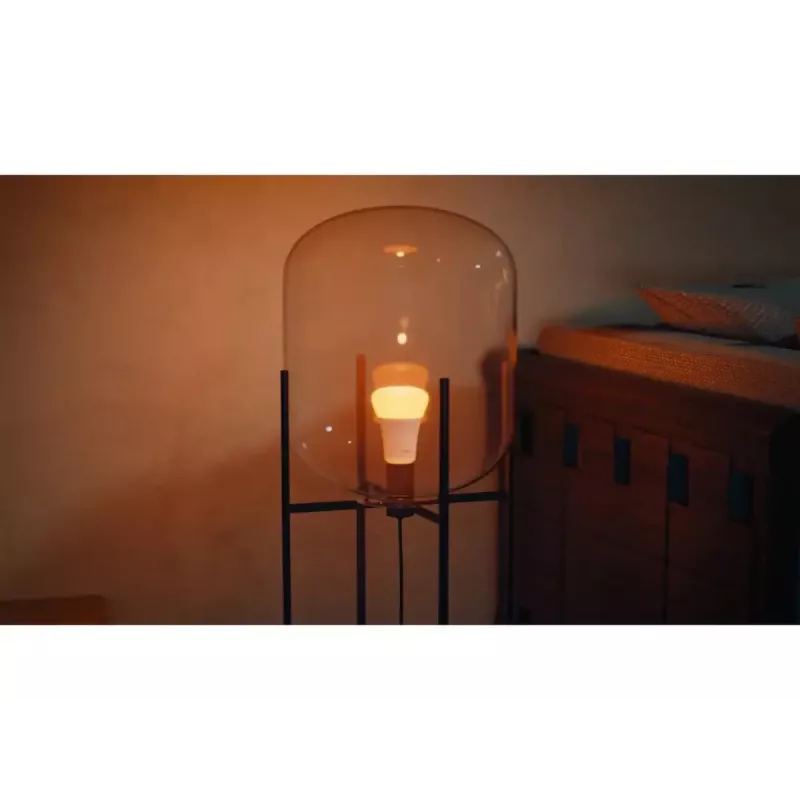 Philips Hue White and colour ambience A60 – E27 išmanioji lemputė – 810