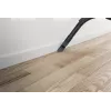 Cilindrinis dulkių siurblys Hoover HP105HM 011, 700 W, be maišelio, 2 L