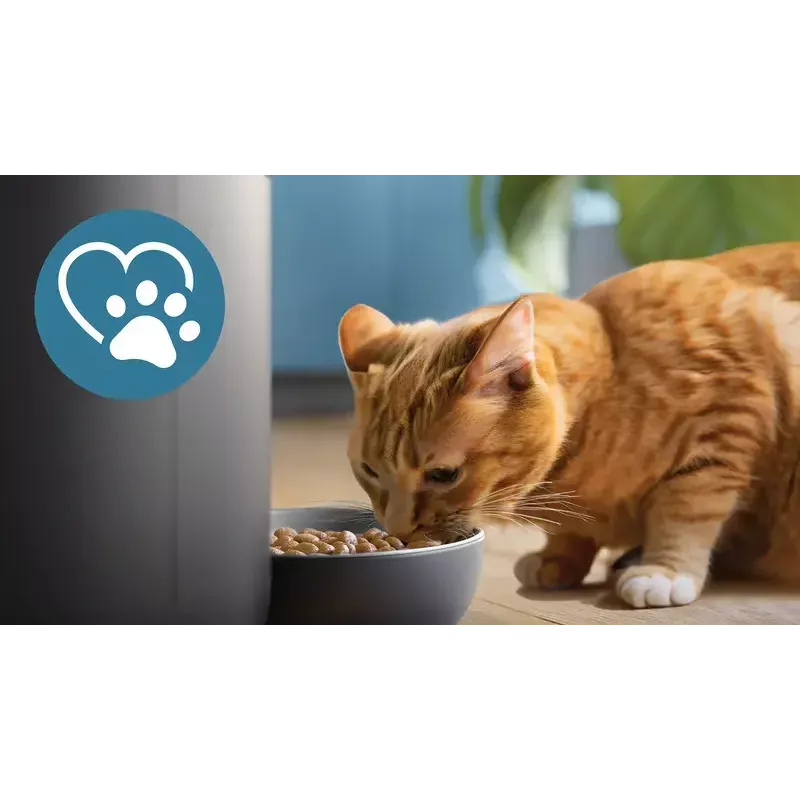 Automatinis ėdalo daviklis Philips 5000 serijos PAW5320/02 su kamera, 4,5 L maisto ir vandens talpa, plastikinis korpusas, naudojimui patalpose