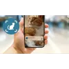 Automatinis ėdalo daviklis Philips 5000 serijos PAW5320/02 su kamera, 4,5 L maisto ir vandens talpa, plastikinis korpusas, naudojimui patalpose