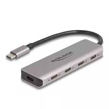 DeLOCK USB 3.2 Gen 1 HUB 4x USB-C 5 Gbps pilkas metalinis