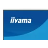 Monitorius iiyama ProLite XB2796HSC-B1 68,6 cm (27 colių) Full HD LED juodas