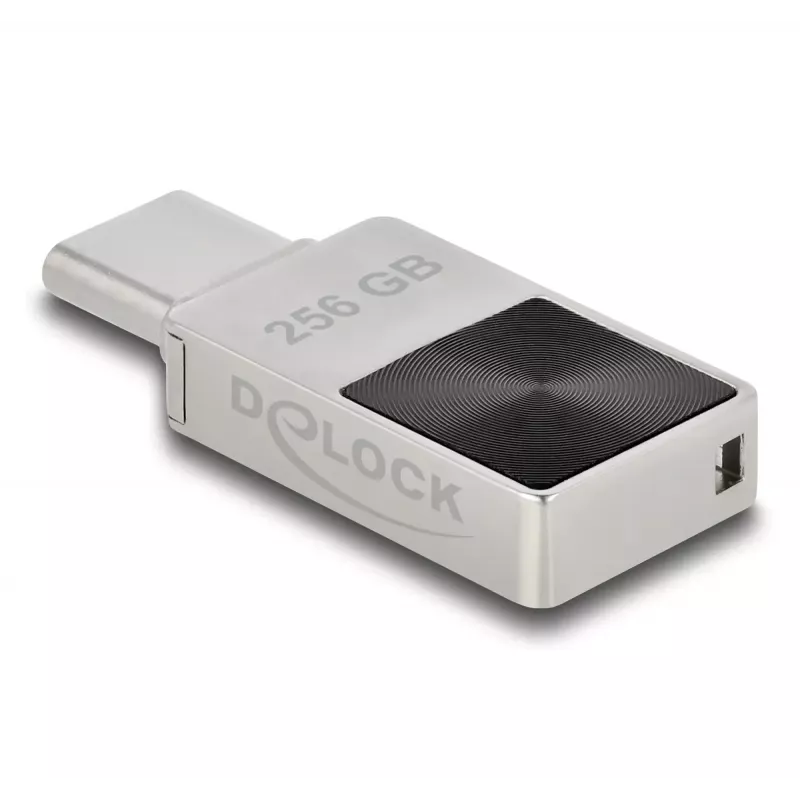 USB atmintinė DeLOCK 256GB USB-C 3.2 Gen 1 metalinis korpusas