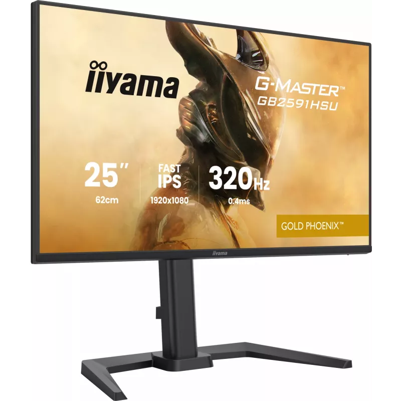 Žaidimų monitorius IIYAMA G-Master GB2591HSU-B1 24,5 colio (68,6 cm) Full HD — HDMI/DisplayPort/USB, juodas