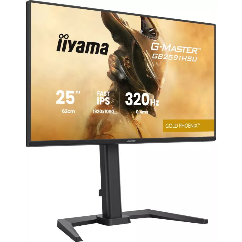 Žaidimų monitorius IIYAMA G-Master GB2591HSU-B1 24,5 colio (68,6 cm) Full HD — HDMI/DisplayPort/USB, juodas