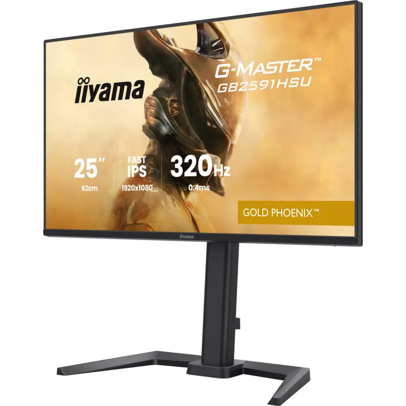 Žaidimų monitorius IIYAMA G-Master GB2591HSU-B1 24,5 colio (68,6 cm) Full HD — HDMI/DisplayPort/USB, juodas