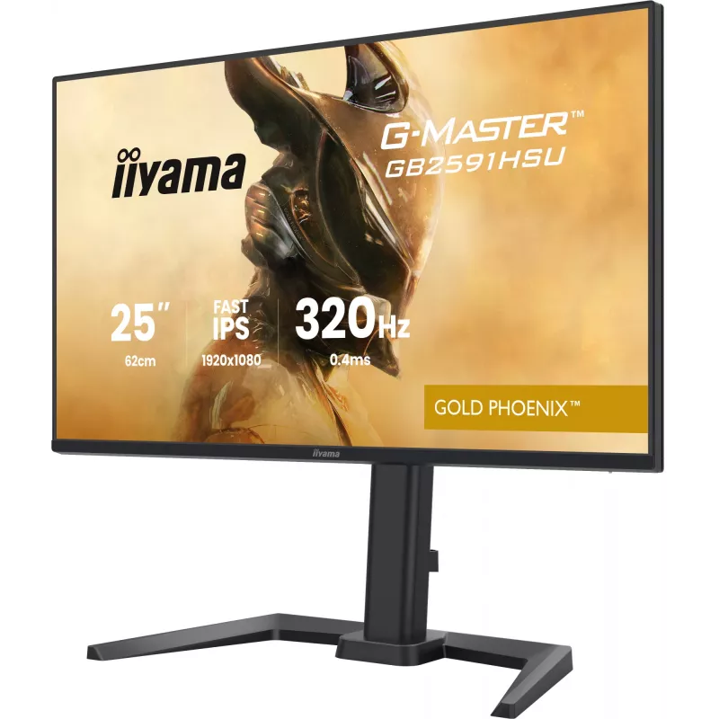 Žaidimų monitorius IIYAMA G-Master GB2591HSU-B1 24,5 colio (68,6 cm) Full HD — HDMI/DisplayPort/USB, juodas