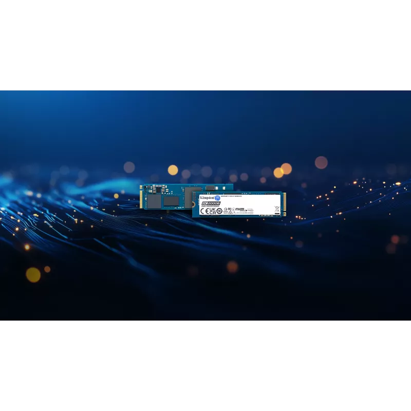 Kingston DC2000B 240GB PCIe 4.0 M.2 2280 Enterprise SSD (be šilumos šalintuvo)