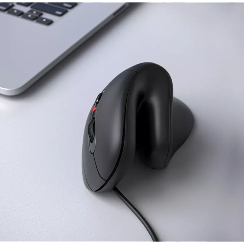Equip 245119 vertikali ergonominė pelė, dešinei rankai, USB Type-A + USB Type-C, optinė, 7200 DPI