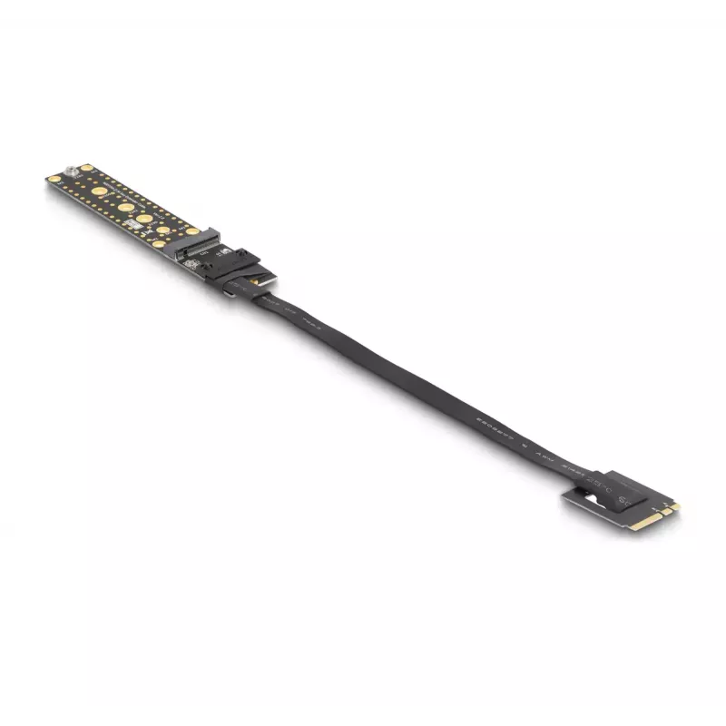 DeLOCK Riser kortelė NVMe M.2 Key A+E (vyriškas) į Key M lizdą su 20 cm laidu