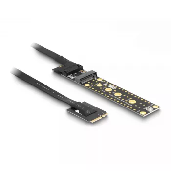 DeLOCK Riser kortelė NVMe M.2 Key A+E (vyriškas) į Key M lizdą su 20 cm laidu