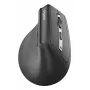 Pelė Rapoo EV310M RF belaidė + Bluetooth