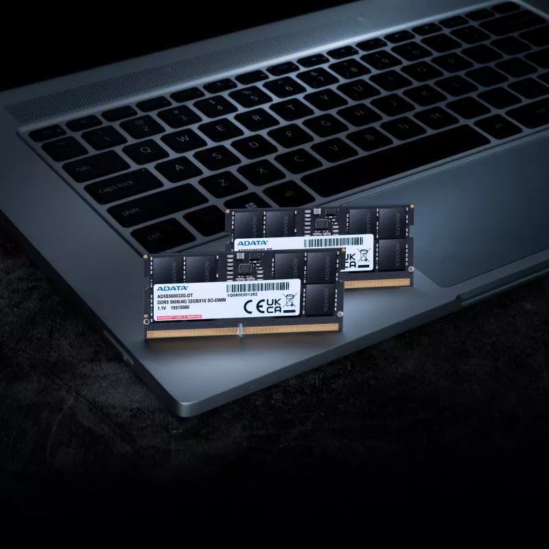 ADATA AD5S560048G-S 48 GB DDR5 5600 MT/s 262 kaiščių SO-DIMM CAS46 1,1 V juoda nešiojamojo kompiuterio atminties modulis