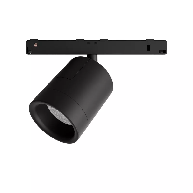 Philips Hue White and colour ambience Perifo cilindrinis prožektorius Bluetooth juodas