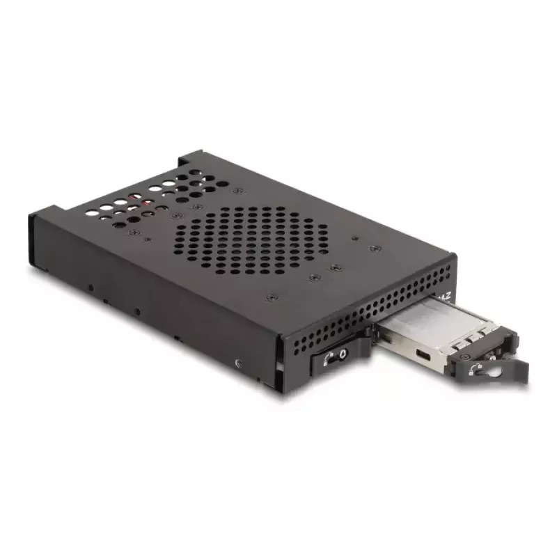 HDD narvelis DeLOCK 47070 Rack suderinamas metalinis 100 mm plotis