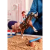 schleich HORSE CLUB Hannah's Vakarų nuotykiai