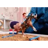 schleich HORSE CLUB Hannah's Vakarų nuotykiai