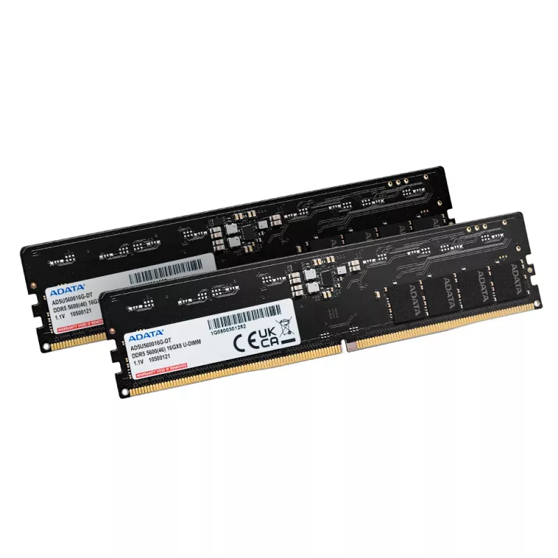ADATA Premier DDR5-5600 U-DIMM 16 GB (2 x 8 GB) dviejų modulių rinkinys, AD5U56008G-DT