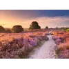 Dėlionė Ravensburger Pink Pathway Netherlands, 1000 dalių, 700×? mm, 2 mm storio