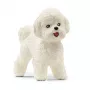 schleich Bichon Frise šunelis