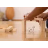schleich Bichon Frise šunelis